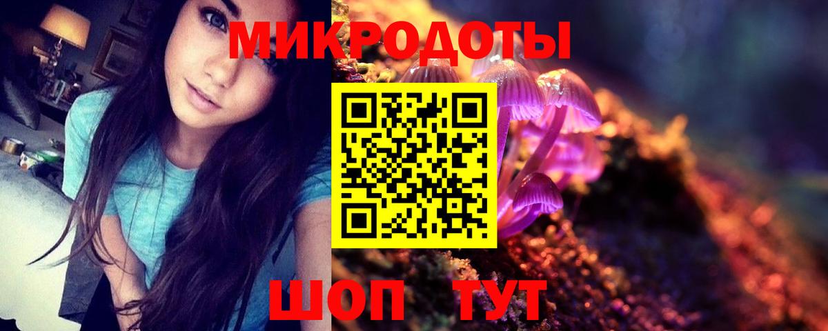 Псилоцибиновые грибы Cubensis Кинешма
