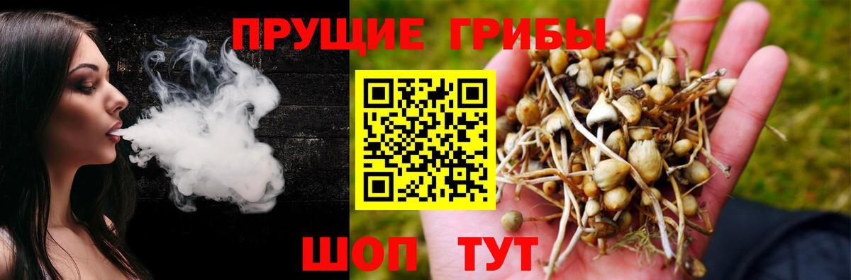 Псилоцибиновые грибы Psilocybine cubensis  Псилоцибиновые грибы Cubensis  Кинешма  Вход с VPN 